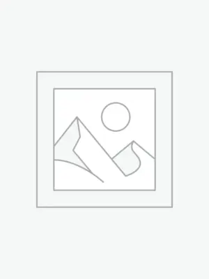 プレースホルダー画像